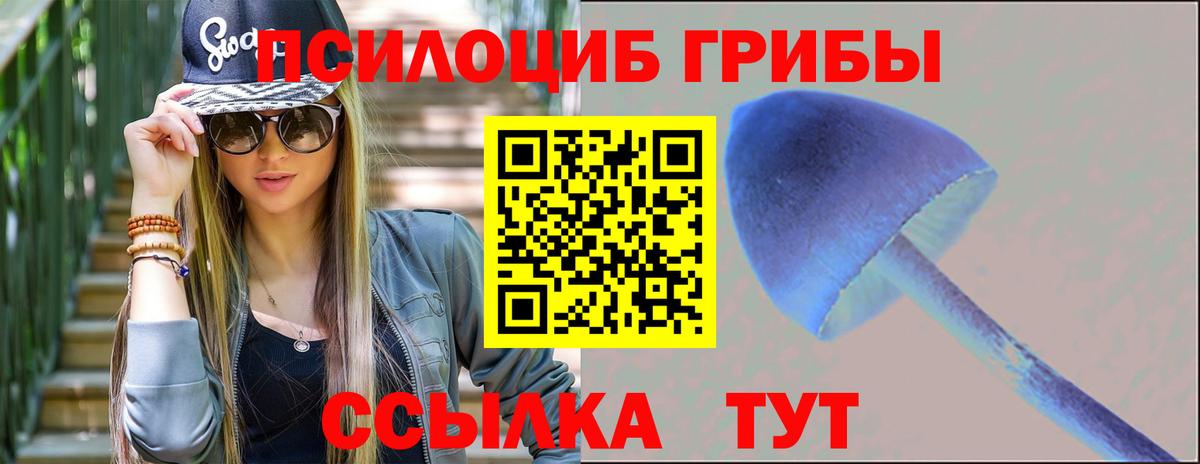 Верхняя Пышма  Галлюциногенные грибы Psilocybine cubensis  купить наркоту  Вход с VPN 